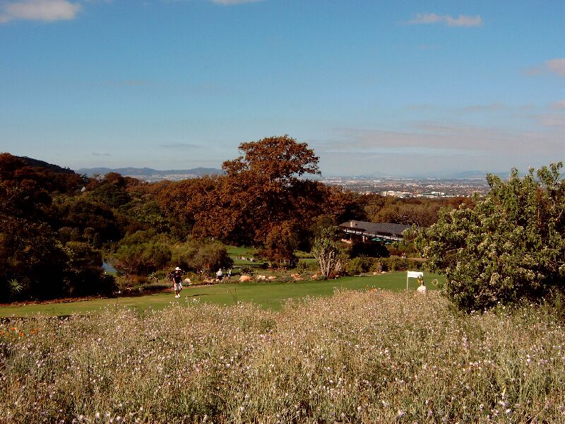 Kirstenbosch